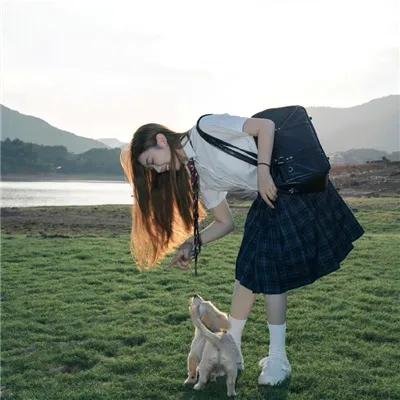 灵龟送宝